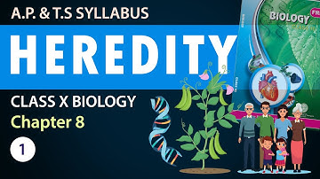 Class 10 #heredity and evolution in Telugu |10th Biology Chapter 8 | AP & TS Syllabus | Part-1