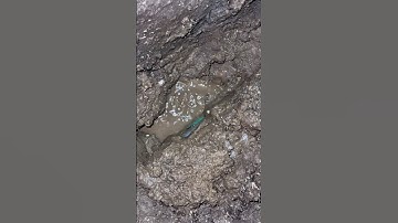 Dò tìm siêu âm thấy tổ mối làm rò rỉ ống nước dưới lòng đất #diy #sieuamnuoc #plumber