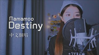 【Muz】Mamamoo-우린 결국 다시 만날 운명이었지(Destiny)/chinese cover 中文翻唱
