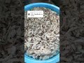 最速3分で売り切れる【イカキムチ】の仕込み #koreanfood #キムチ #キムチの家 #佐渡島