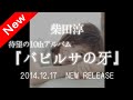 柴田淳/Newアルバム 『バビルサの牙』 待望の10枚目のアルバム 収録曲「車窓」が、テレビ朝日系木曜ミステリー「科捜研の女」主題歌