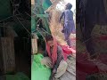wheat crushing machine seasion2K25 #virlvideo #virlshort #wheat_rate_today #wheatcrisis #