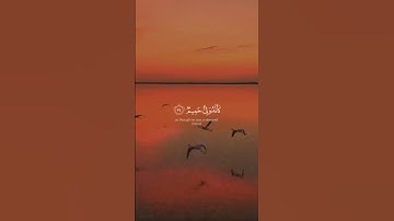 تلاوة هادئة تريح الأعصاب 😴🎧 القارئ: طارق محمد سورة: فصلت 💙❤