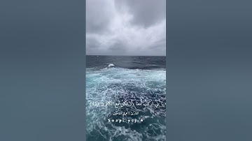 هيثم الدخين / سورة هود