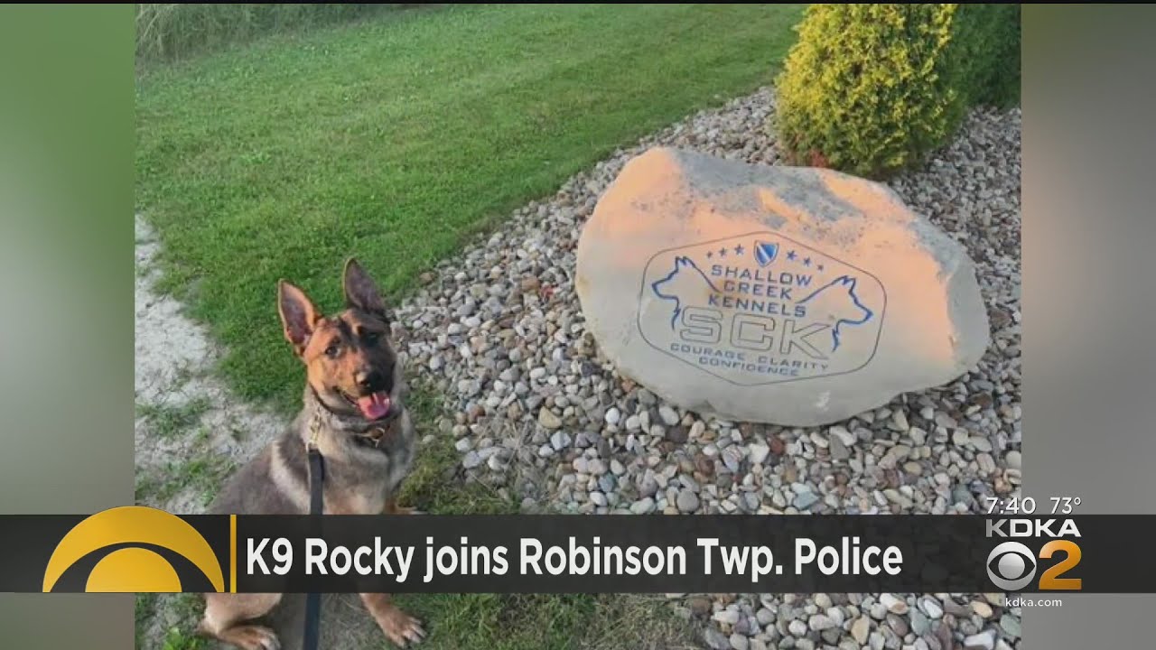 Robinson Township Police New K9 YouTube