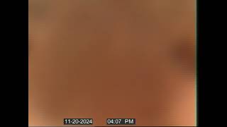 9402 Laurel Ledge Dr, Riverview, FL 33569 11/20