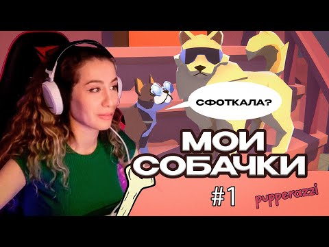 МОИ СОБАЧКИ / PUPPERAZZI #1