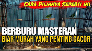 MASTERAN MURAI BATU biar murah yang penting gacot