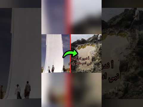أ ندور كم طول نبي ادم عليه سلم