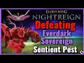 Elden Ring Nightreign: Defeating Everdark Sovereign Sentient Pest