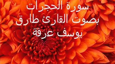 سورة الحجرات بصوت القارئ طارق يوسف عرفة