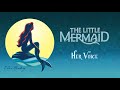 Her Voice - Instrumental (with lyrics)