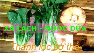 Mix Nước ép Xà lách - Nước dừa | Nước ép Rau Củ AndyJus