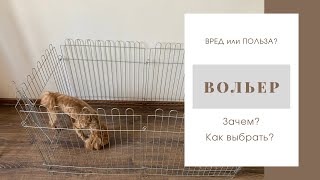 картинка: ВОЛЬЕР. ЗАЧЕМ ОН СОБАКЕ? ВАША ЖИЗНЬ НЕ БУДЕТ ПРЕЖНЕЙ! #вольер #воспитаниесобаки #мальтипу