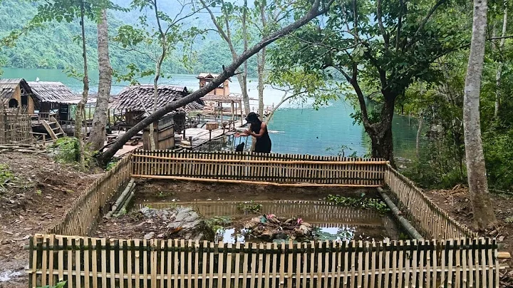 Building bamboo cages to raise frogs. Taking care of animals on floating farms
