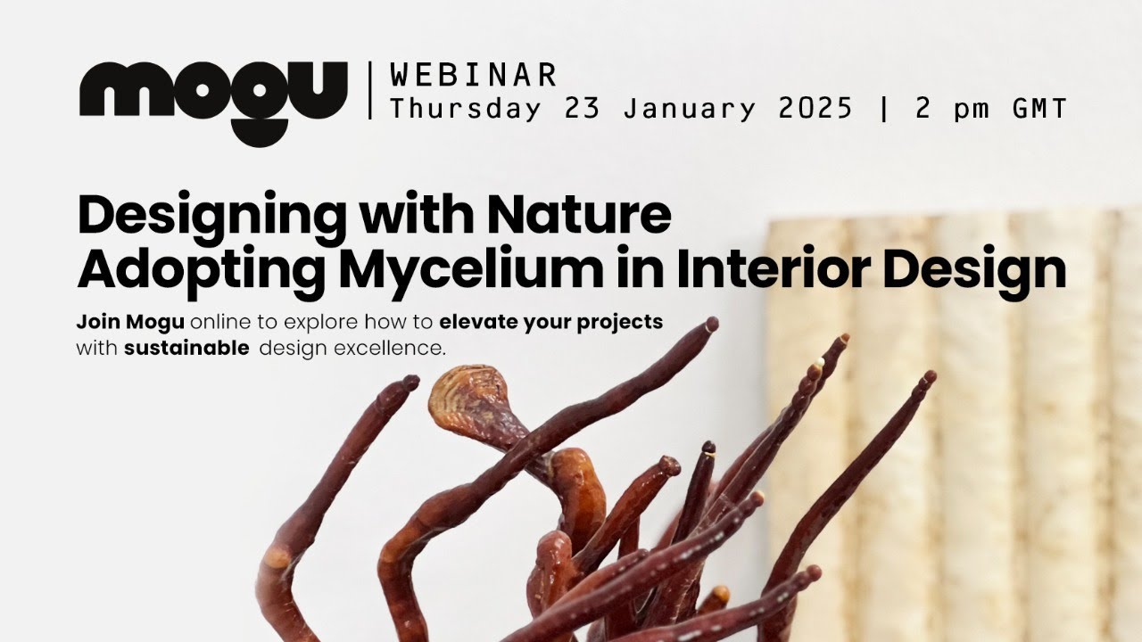 Designing with Nature: Adopting Mycelium in Interior Design - YouTube