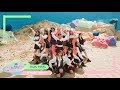 「VIETSUB」IZ*ONE (아이즈원) - FIESTA | MUSIC VIDEO VIETSUB |