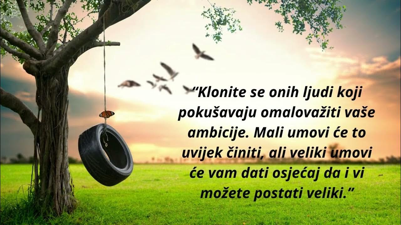 Citati o životu, izreke i citati, motivacija za svakoga YouTube Citati o životu, izreke i citati, motivacija za svakoga YouTube