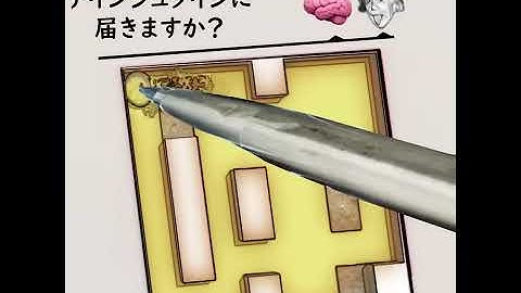 BrainZZZ-Only people with an IQ of 130 or above can play 10 levels.-Japanese-J37