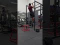 Journey to the One Arm Pull Up (Week 3) Finger Pull Ups (5lb Attached) #pullups #pullupsummer