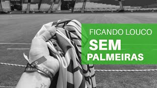 Na Quarentena Sem Ver O Palmeiras