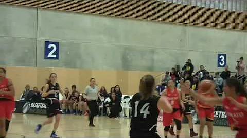 Tabitha Jenkins (Black #10), 5' 9", PF/SF, Class o...