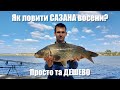 Як ловити САЗАНА восени? Дешевий і уловистий спосіб. Трофейна риболовля на річці Дністер 2023