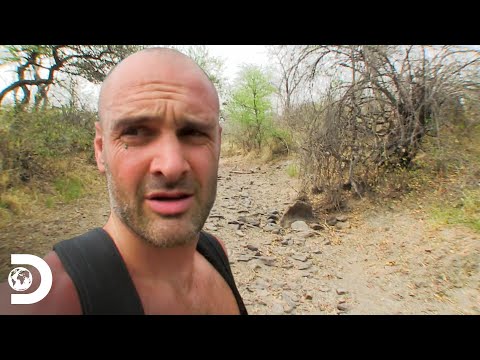 Ed explora o território inóspito da Namíbia | Ed Stafford: O Sobrevivente | Discovery Brasil