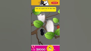 FUNNY VIDEO - Cắt kén lấy NHỘNG TẰM #funny #funnyvideos #shortvideo #shorts #animals #fyp #cartoon