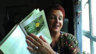 Стихи Еммилии Стихи Еммилии