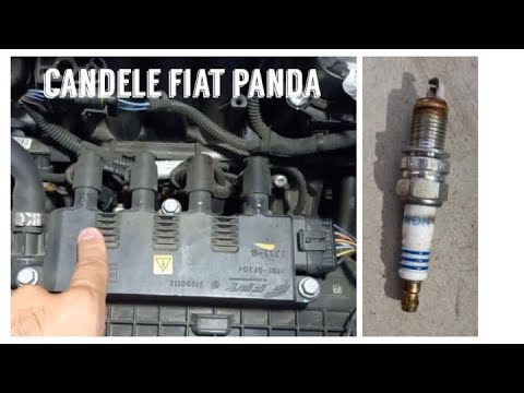 CANDELE FIAT PANDA LOUNGE 1.2 BENZINA #tagliando #manutenzioneauto  #fiatpanda #panda 