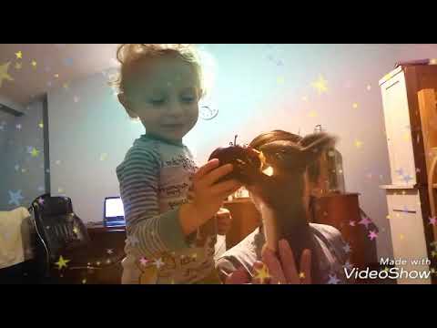 Baby Funny Squirrel/ პატარა ციყვი