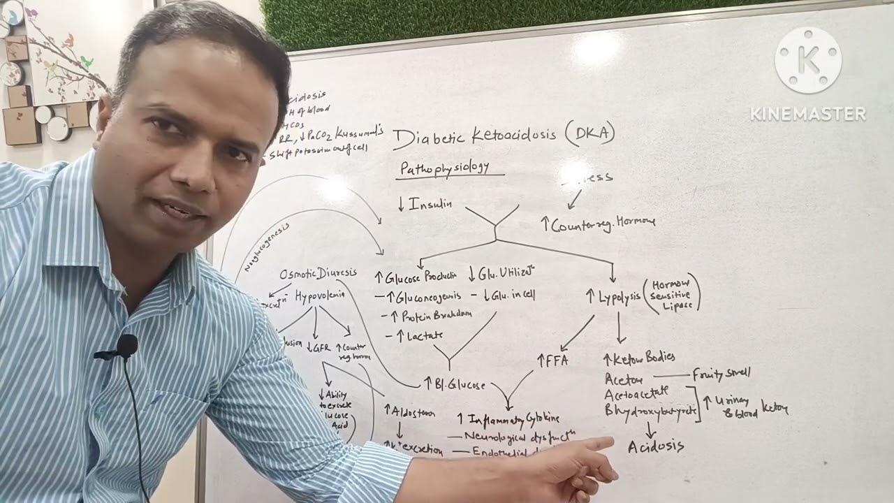 Diabetic Ketoacidosis Part 1 pathophysiology #diabetes #ytvideoes