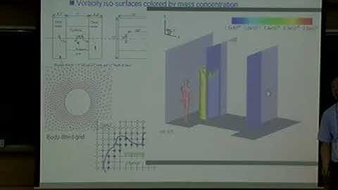Choi, Jungil (Yonsei University) / An Immersed Boundary Method for General Flow Applications