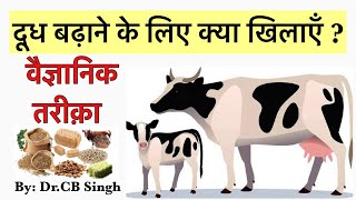 दूध बढ़ाने के लिए पशुओं को क्या खिलाएँ | Feeding of dairy animals | Dairy Ustaad