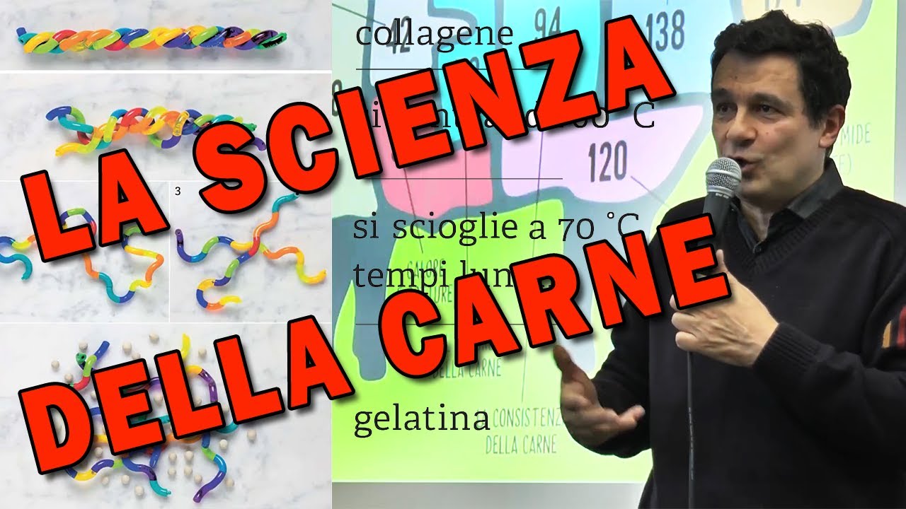 LA SCIENZA DELLA CARNE - I segreti della cottura della carne 