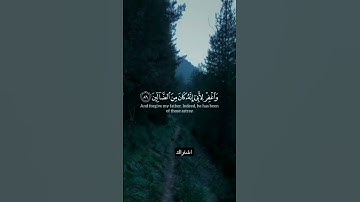 قرآن كريم بصوت جميل جدا 💚 راحة نفسية #اكسبلور #لايك #ترند