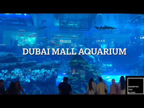 Dubai Mall Aquarium