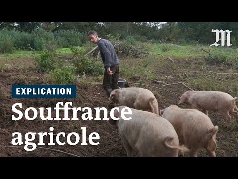 Vidéo: Pourquoi les agriculteurs philippins sont pauvres ?