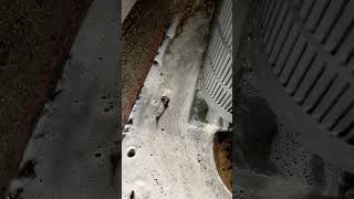 Carrier Infinity Cleaning! #airconditioning #plumbing #construction #electrical #evaporatorcoil