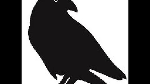 Ravencoin development with realtime database Firebase, JavaScript, Node.js and web technology.