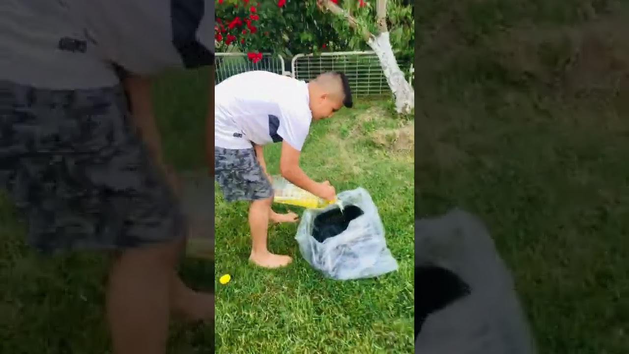 Kıspet nasıl yağlanır - Yağlı güreş - kıspet bakımı Harun Talha Karakoç