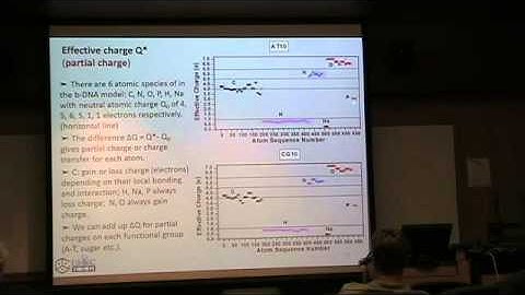 Long Range Interactions in Biomolecular Materials, Wai-Yim Ching, PhD