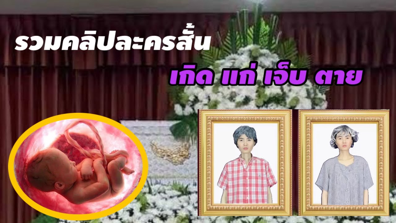 รวมคลิปละครสั้น เกิด แก่ เจ็บ ตาย