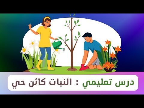 فيديو: هل نظرة خاطفة بوو مثال على بقاء الكائن؟