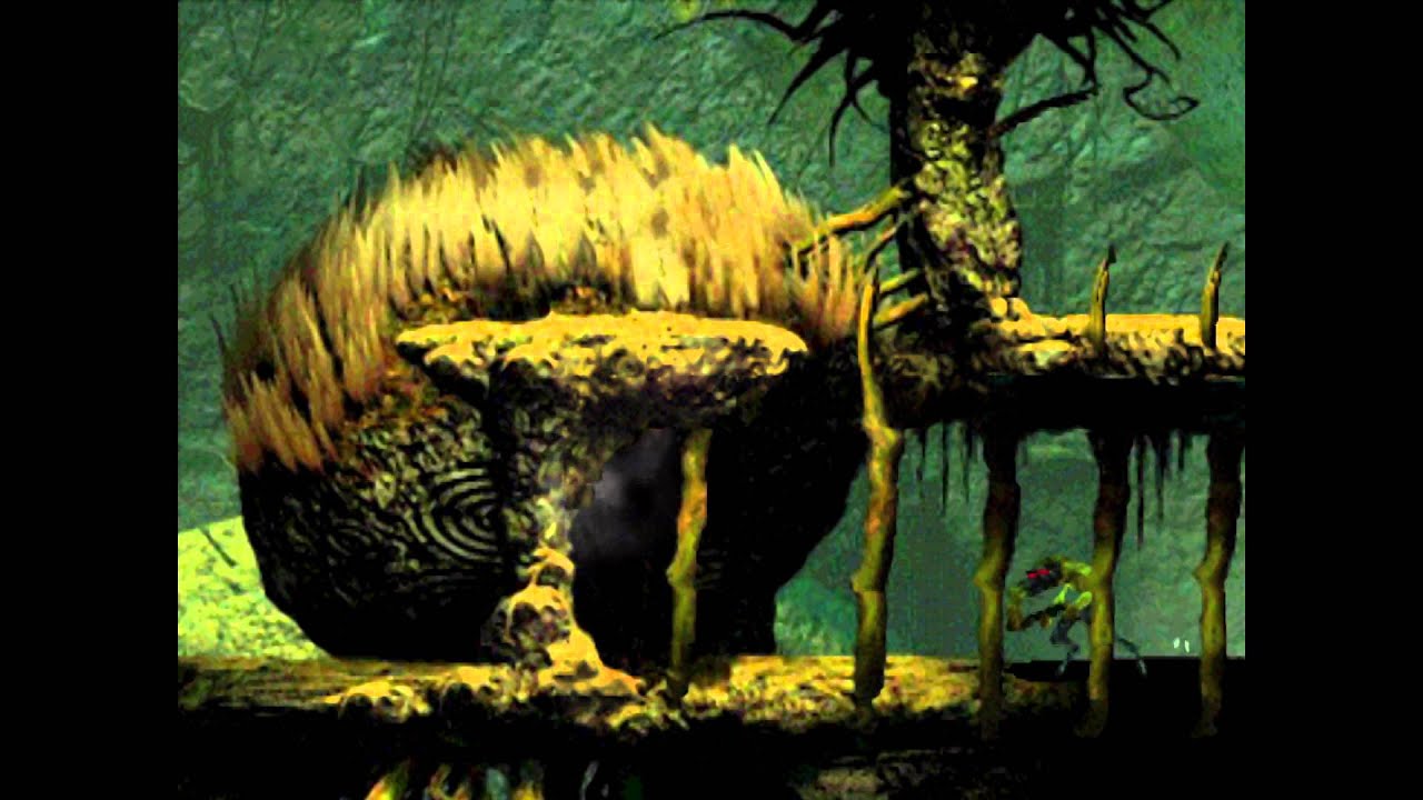 Kanalteaser | Intro | DerPum