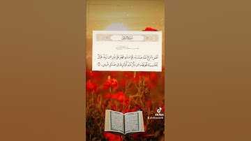 القرآن الكريم راحة نفسية تلاوة خاشعة حالات واتس اب قرآن كريم