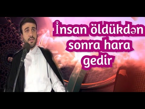 Video: İnsanlıq Hara Gedir?