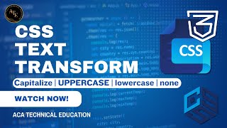 CSS Text Transform Explained Capital Uppercase, Lowercase, and More.