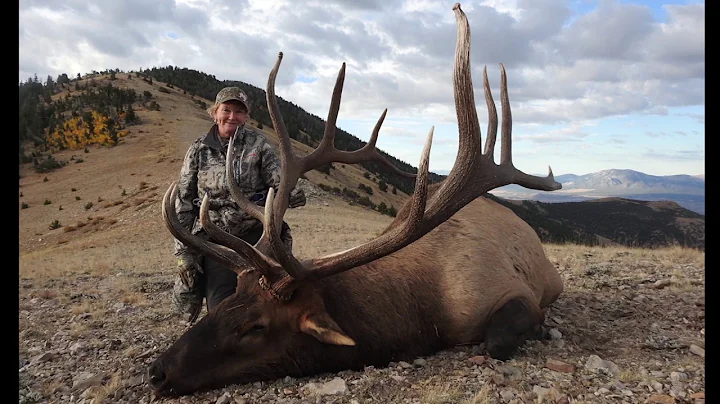 454" Largest Bull Harvested by a Woman!!